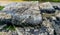 Granite stone rock slabs of a demolished road in close up background texture