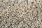 Granite stone texture gray black white