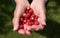 Granny shows picked wild strawberries in her hands