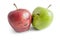 Granny smith apple kissing red apple over white background