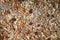 Granola background close-up