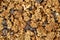 Granola texture background