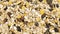 Granola texture, muesli texture,close photo image on granola or muesli pile present a detail in view of granola or