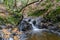 Granuja Falls flowing