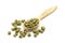 Granulated green hops in a wooden spoon