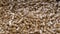 Granules of Pressed Wood Sawdust Fall in Pile of Pellets on Rotating Background