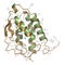 Granulocyte-macrophage colony-stimulating factor (GM-CSF, molgramostim, sargramostim) molecule. White blood cell growth factor