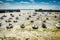 Granville, France - June 29, 2012. Port at low tide with boats on sea bottom