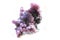 grape agate mineral