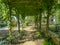 Grape Arbor