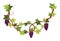 Grape bunch. Cluster of berries and leaves. Grape vine, decorative climbing plant. Fruit, growing healthy food isolated