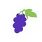 Grape. Cutouts fruit. Shape colored cardboard or paper. Funny childish applique