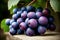 Grape Delight A Captivating Capture of Plump and Juicy Uva.AI Generated