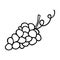 Grape doodle, cooking nutrient. Hand-drawn sweet fruit, proper eating, healthy diet. Sketch, minimalism, line art. Isolated.