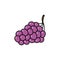 Grape doodle icon