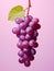Grape Elegance: Pop Art Minimalism