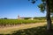 Grape field and old church behind. Landscape in Bordeaux region