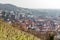 Grape fields above Heppenheim medieval town