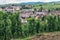 Grape fields in Burgundy