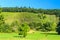 Grape fields in Germany.