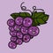 Grape friend cartoon  illustration doodle style