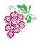 Grape Fruit Graphic