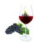 Grape fruits in a glass of dark purplish red wine and bunches of fresh deep black berry ripe grapes with green leaves, isolated