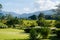 Grape garden and mountains in daylight.