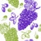 Grape Hand Draw Sketch Background Pattern. Vector