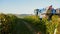 Grape Harvest Machine - Bordeaux Vineyard