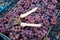 Grape harvest in the vineyard. Close-up of garden shears for assembling grapes on red and black clusters of Pinot Noir grapes,