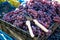 Grape harvest in the vineyard. Close-up of garden shears for assembling grapes on red and black clusters of Pinot Noir grapes,