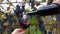 Grape harvest in the vineyard. Sommelier hands pouring red wine into transparent glass from green wine bottle. Pinot