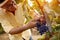 Grape harvest vintner on vineyard