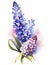 Grape Hyacinths flowers painting on white background generative AI