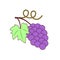 Grape Icon Food Fruits Outlined