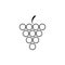Grape Icon Food Fruits Outlined silhouette vector