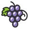 Grape icon. Wine ripe berries. Sweet purple fruit