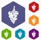 Grape icons vector hexahedron