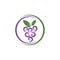 Grape with leaf logo vector