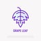 Grape leaf thin line icon. Vector illustration