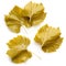 Grape leaves for dolma. Collection on white background