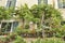 Grape leaves and flower pots at building