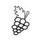 Grape line icon on a white background