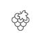 Grape line outline icon fruit concept