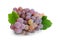 Grape `Lydia` closeup isolated