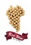 Grape made of wine bottle corks on white background, top view. Space for design