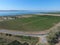 Grape orchards bird\'s-eye view. Vine rows. Top view on the garde