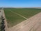 Grape orchards bird\'s-eye view. Vine rows. Top view of the garde