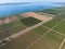 Grape orchards bird\'s-eye view. Vine rows. Top view on the garden on a background of the estuary, village and sky